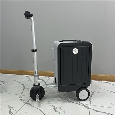 Intelligenter elektrischer Reitkoffer